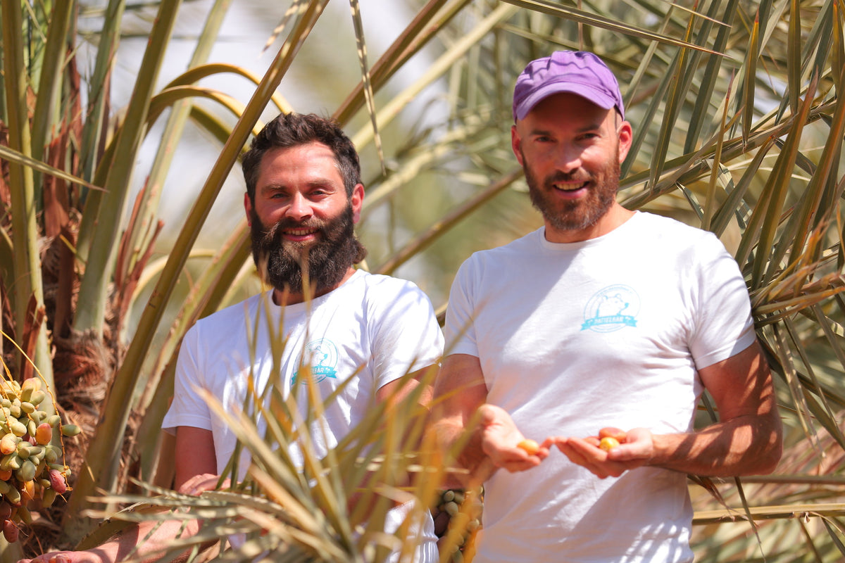Dominik und Gregot Dattelbär in der Wüste
