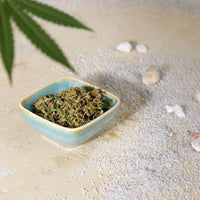 BIO Hanftee – hoher Blütenanteil - DATTELBÄR - 420_001 - DATTELBAER