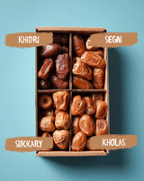Dattel Selektion BIO Premium Large – Sukkari, Kholas, Khidri & Seqee - DATTELBÄR - DB_240004 - DATTELBAER