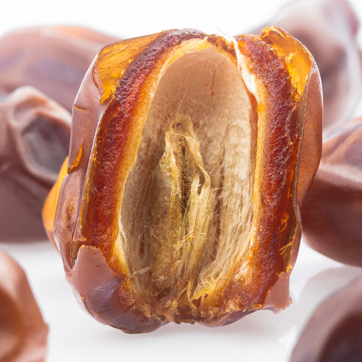 Khidri Datteln BIO Premium Large – bissfest & malzig - süß - DATTELBÄR - DB_250015 - DATTELBAER