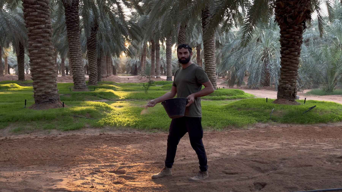 Ein Mann in grünem Hemd und dunkler Hose steht mit einem schwarzen Eimer und einer Schaufel in der Hand auf einem unbefestigten Weg in einem Hain mit hohen Palmen, um den herum grünes Gras wächst. Das Sonnenlicht fällt durch die Bäume.